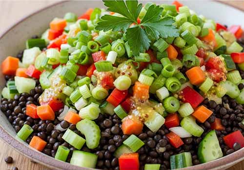 Salade de lentilles beluga riches en protéines, les lentilles sont associées à des carottes, du céleri et du poivron coupés en brunoise. Une vinaigrette citronnée et des herbes fraîches complètent cette salade.